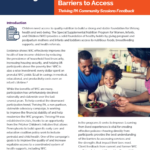 Image from:WIC Participants Encourage Improvements to Remove Barriers to Access - December 2022