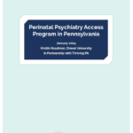 Image from:Report: Perinatal Psychiatry Access Program in Pennsylvania - January 2024
