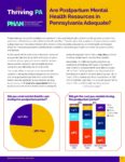 Image from:Brief: Are Postpartum Mental Health Resources in Pennsylvania Adequate? - January 2024